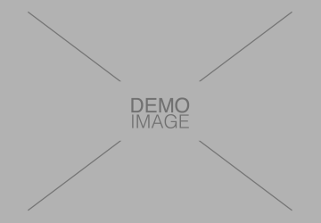 Demo Image